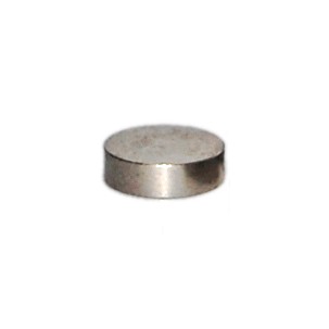 �10 PASTILLES DIAMETRE 10mm EPAISSEUR 2.625mm (lot de 5 pastilles) (0926-1511) DERNIER EXEMPLAIRE