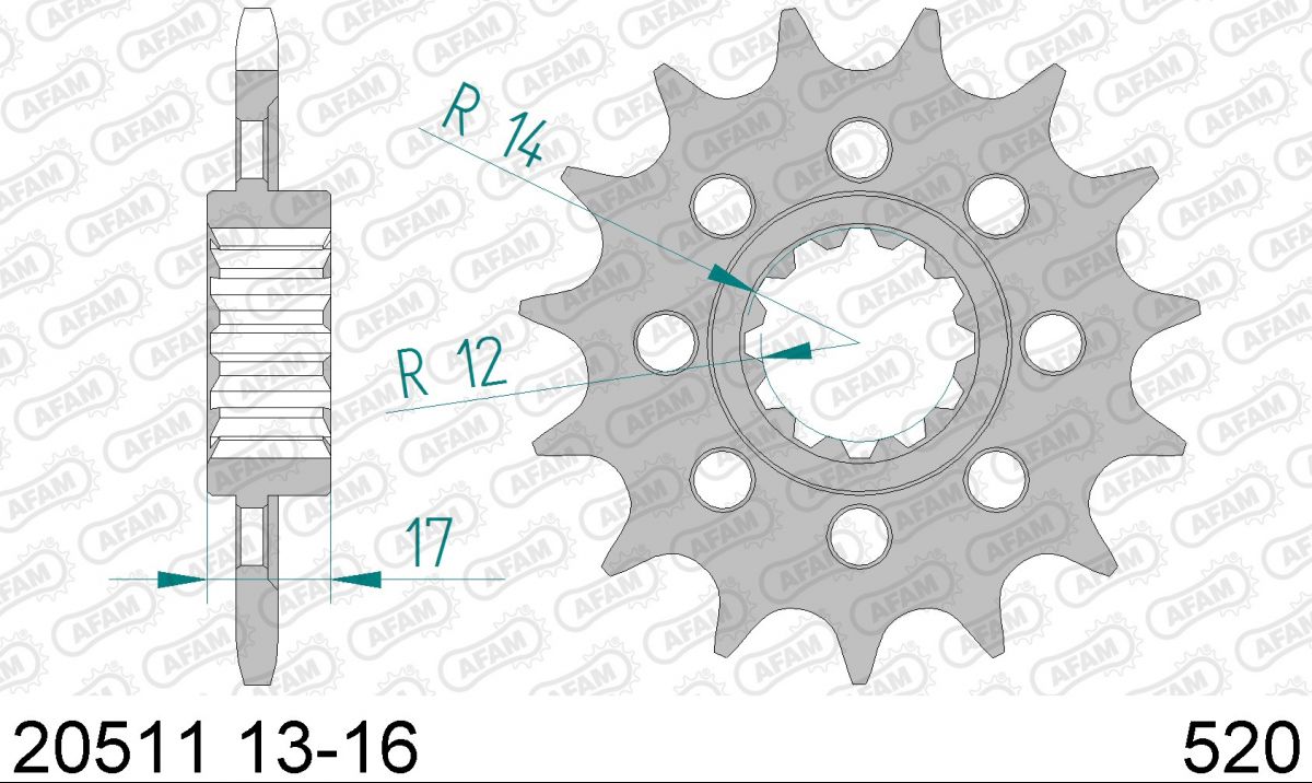 PIGNON PAS RACING 520 15 Dents 2051115 HONDA CBR 600 F 1991-1996 (2)