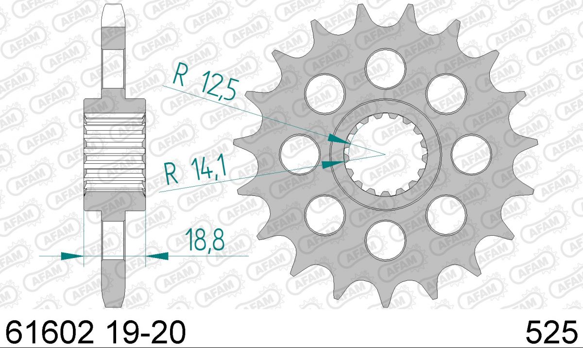 PIGNON PAS ORIGINE 525 19 Dents 6160219 BMW F 800 R 2005-2015 (2)