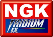 1 BOUGIE NGK BR7EIX IRIDIUM BETA ALP 200 4T 2015-2024