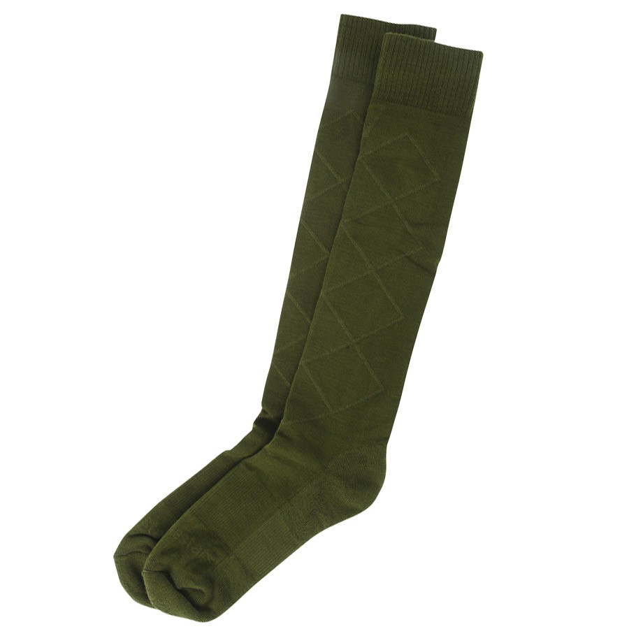 Chaussettes ALPINESTARS SUPERVICTORY COOLMAX GREEN GRAY
