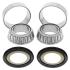 MOOSE RACING ROULEMENTS COLONNE DE DIRECTION + CACHE POUSSIRES X2 0410-0029 HONDA XRV 750 AFRICA TWIN 1990-2003