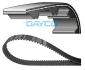COURROIE DE DISTRIBUTION 100219 (X1) DUCATI 1100 MONSTER / EVO / S 2009-2013