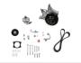 Retro-fit Add-on P/s, Lt4 Wet - Natural HOLLEY 20-222