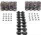 FORD MUSTANG kit de ressorts de soupapes Melling VSK46672