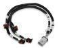 FAISCEAU BOBINE LSX MAIN TO HOLLEY COILS HARNESS KIT Holley EFI 558-309