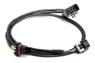 FAISCEAU CRANK/CAM HARNESS Holley EFI 558-410