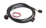FAISCEAU HEMI DBW HARNESS, 2013+ APPLICATIONS Holley EFI 558-437
