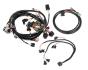 FAISCEAU HARNESS KIT, LS1/6, 24X, BOSCH/JETRONIC INJECTOR Holley EFI 558-500