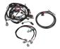 FAISCEAU HARNESS KIT, LS2/3/7, 58X, USCAR INJECTOR Holley EFI 558-501