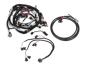 FAISCEAU HARNESS KIT, LS2/3/7, 58X, BOSCH/JETRONIC INJECTOR Holley EFI 558-502