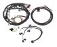 FAISCEAU HARNESS KIT, UNIVERSAL V8 MPFI Holley EFI 558-504