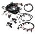 FAISCEAU HARNESS KIT, FORD MODULAR 4V Holley EFI 558-506