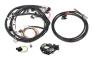 FAISCEAU HARNESS KIT, UNIVERSAL FORD V8 Holley EFI 558-508