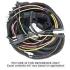 FORD MUSTANG 1966 COUPE ET CABRIOLET FAISCEAU POUR FEUX ARRIERES Coupe and Convertible Tail Light Wiring Harness SCOTT DRAKE C6ZZ-14405-CP