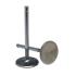 CHEVROLET 1962-2002 V8 302 327 350 400 SOUPAPE D`ECHAPPEMENT COMP Cams Sportsman Stainless Steel Valves 6002-1  l`unit