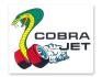 FORD MUSTANG 1964-2015 AUTOCOLLANT Cobra jet window decal SCOTT DRAKE DF-393