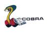 FORD MUSTANG 1964-2015 AUTOCOLLANT Cobra window decal SCOTT DRAKE DF-822