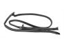 FORD MUSTANG 1981-1984 JOINT D ETANCHEITE COTE GAUCHE T-TOP Weatherstripping T-Top Left Hand seal SCOTT DRAKE E3ZZ-6154781-A