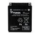 BATTERIE YUASA YTX14AHL-BS