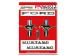 FORD MUSTANG 1965-1966 COUPE ET CABRIOLET EMBLEME OFFICIEL 6 CYLINDRES emblem 6 cylinder SCOTT DRAKE C5ZZ-6540282-6K