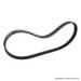 COURROIE DE DISTRIBUTION DENTS CARRES 0925-1113 (x2) DUCATI 800 SUPERSPORT 2003-2006