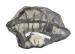 K&N PROTECTION SURFILTRE CHAUSSETTE KN E3671PK E-3671PK*