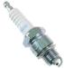 1 BOUGIE NGK BPR6HS HONDA NH DRUM VERSION 50 1994-2011