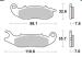 SBS CARBON TECH PLAQUETTES AVANT 228 CT HONDA 125 PCX 2018-2023 (2)